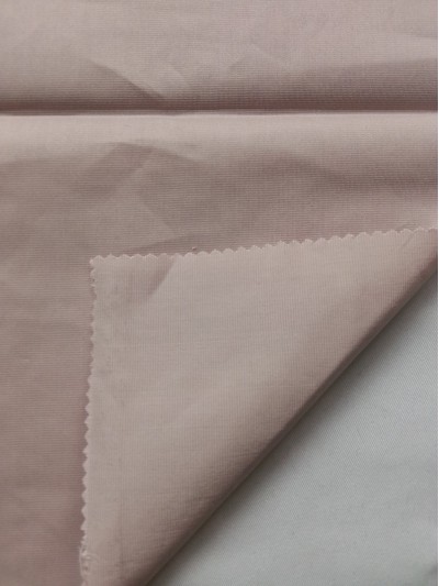 GZ- LEEN  C65% T35% L58019 正面照